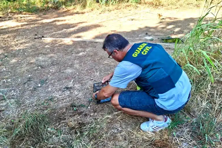 Guardia Civil furtivo aves Girona 2