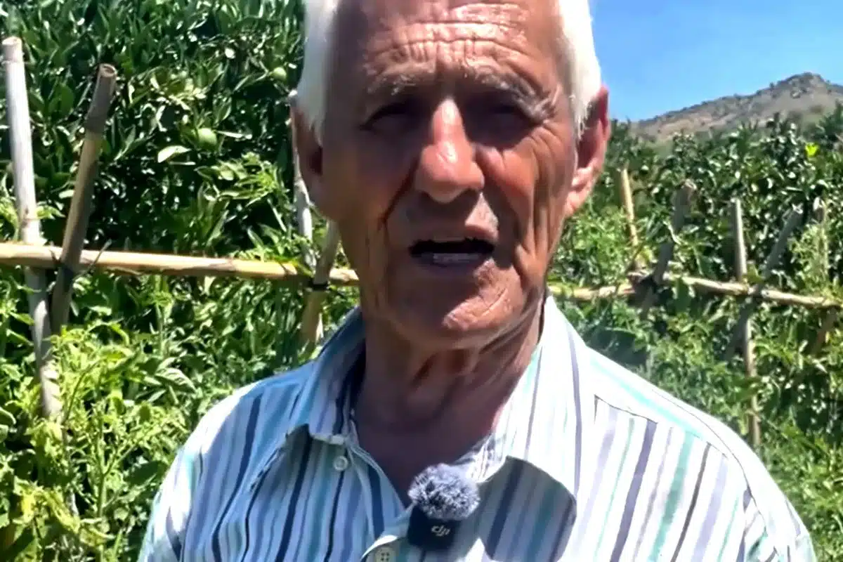 hombre de campo truco evitar peseta tomates
