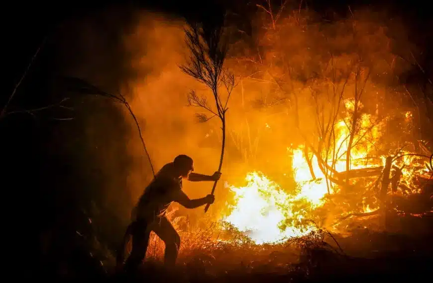 Los Gallardos, 11 de julio de 2026, un hombre trata de luchar contra un incendio.