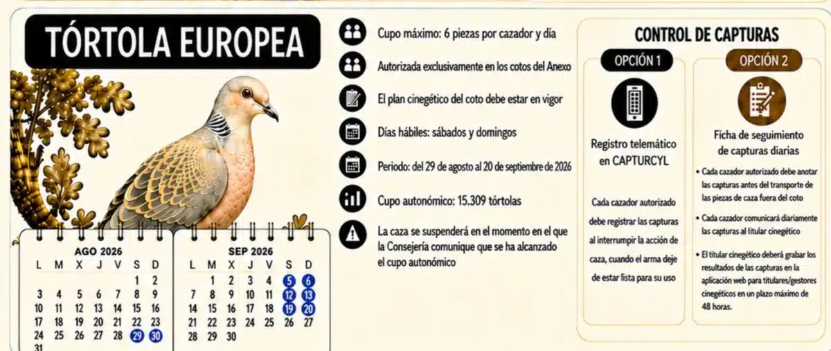 Infografía oficial sobre la temporada de caza de la tórtola.