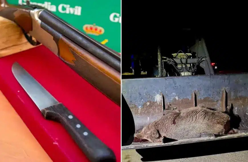 Imagen del vídeo compartido por la Guardia Civil.