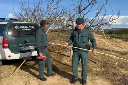 método ilegal capturas aves