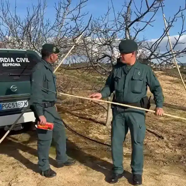 método ilegal capturas aves