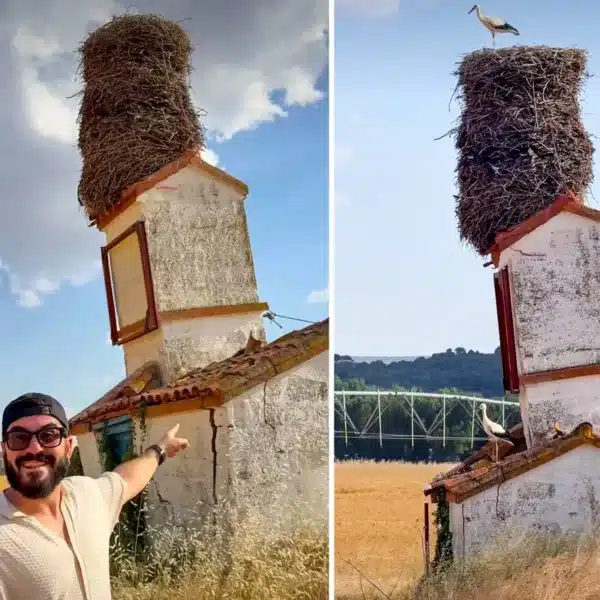 Dos imágenes de la "torre de Pisa" castellana.