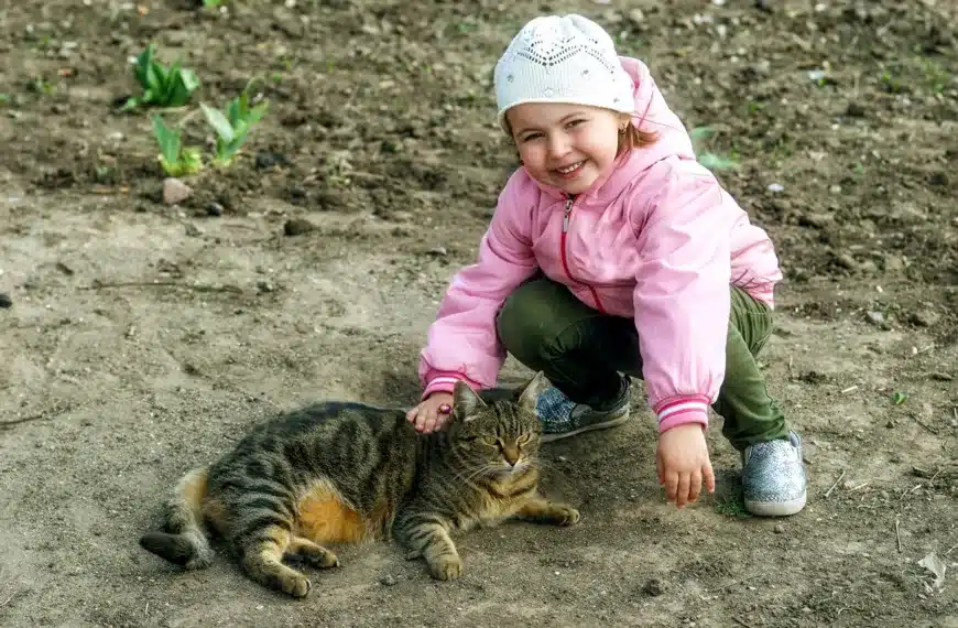 Una niña acaricia un gato callejero, foco de parásitos según revela un nuevo estudio.