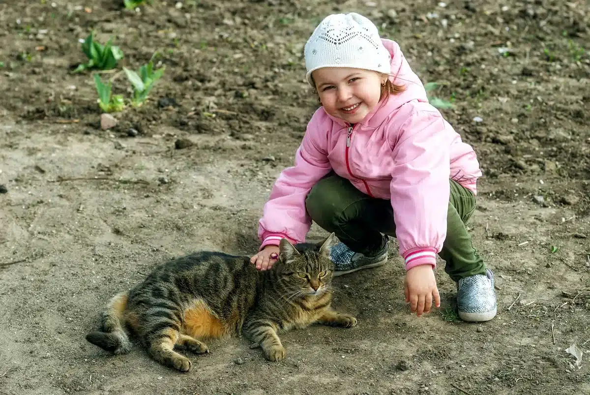 Una niña acaricia un gato callejero, foco de parásitos según revela un nuevo estudio.