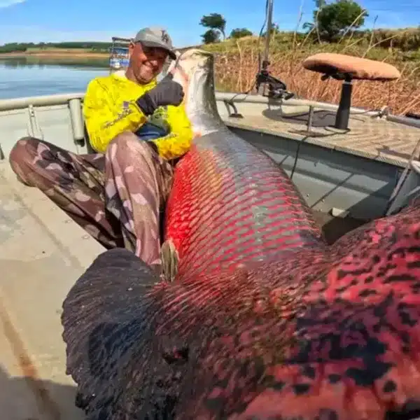 El pescador con el inmenso pez.