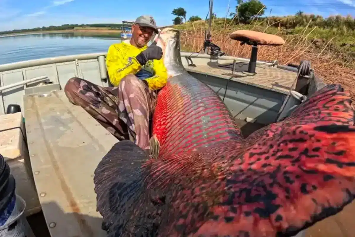 El pescador con el inmenso pez.