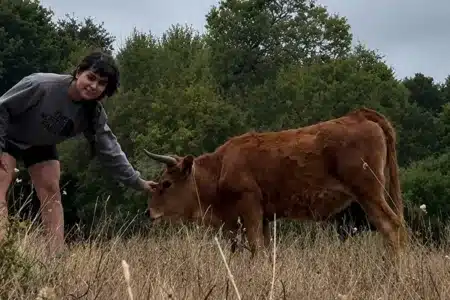 raza enana vaca gallega