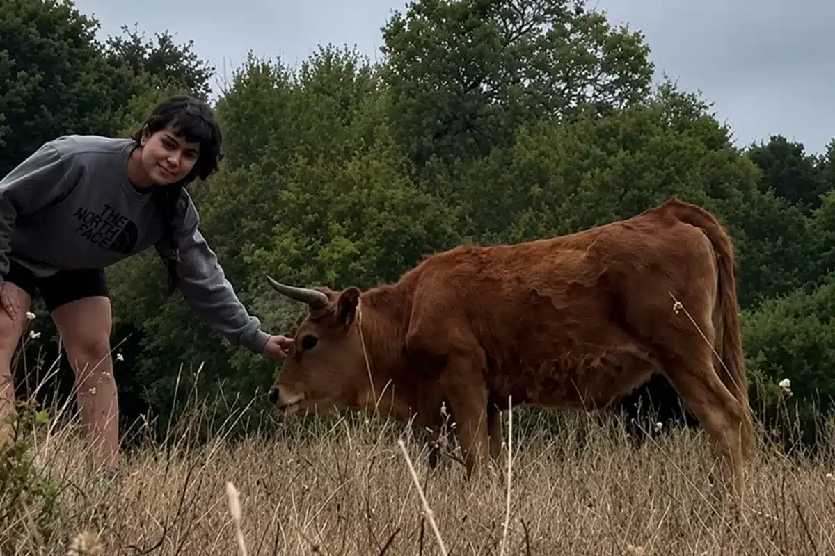 raza enana vaca gallega