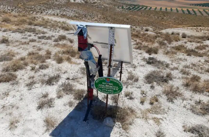 señal campo