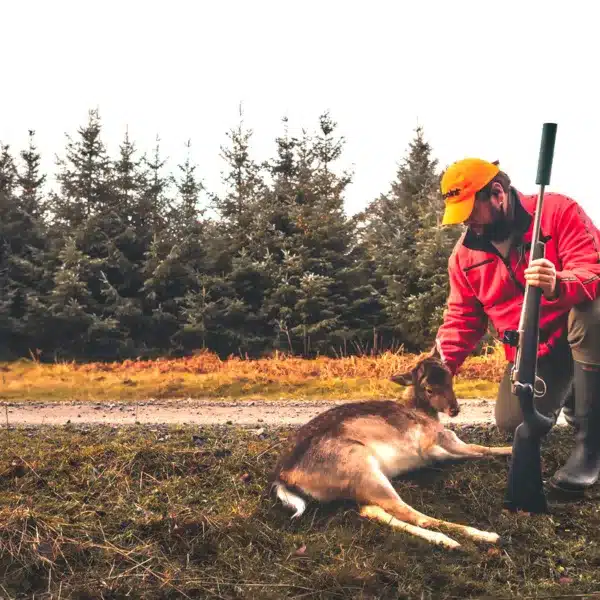 AIMPOINT MEDIA HUNT