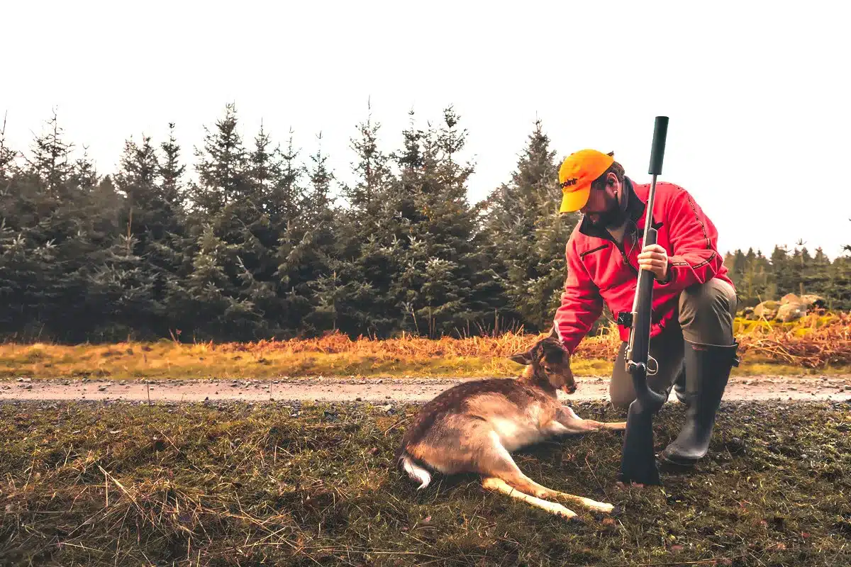 AIMPOINT MEDIA HUNT
