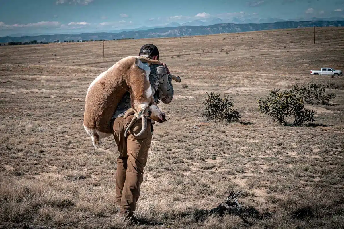 Un cazador con un berrendo en Colorado.