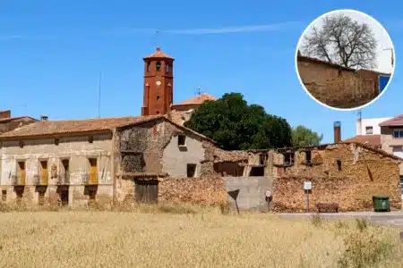 disputa nogal Zaragoza