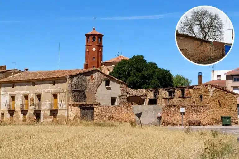 disputa nogal Zaragoza