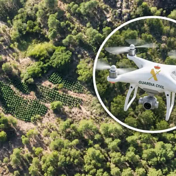 Dron Guardia Civil marihuana Cuenca