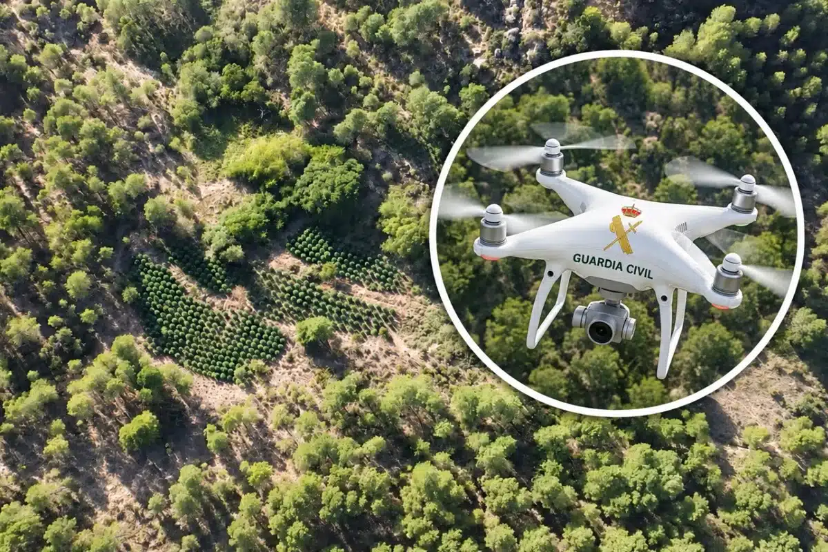 Dron Guardia Civil marihuana Cuenca