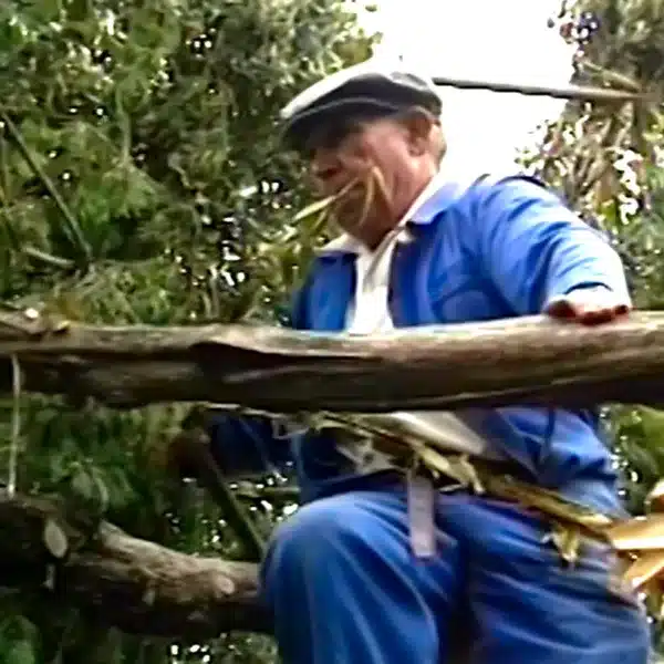 modalidad arraigo cultural mundo rural ecologistas lograron prohibir