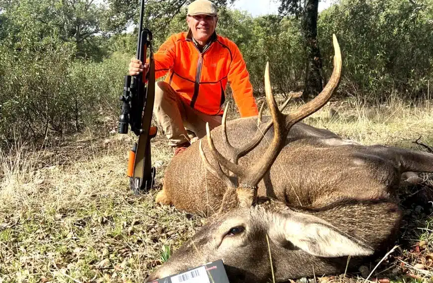 Monterías Hornady