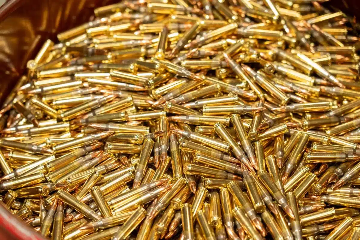 Las balas de rifle quedan excluidas de la prohibición. 