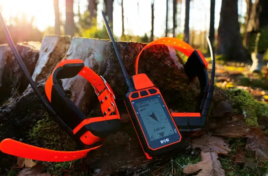 nuevos-collares-gps-dogtrace-arcea