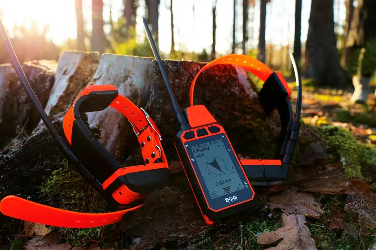 nuevos-collares-gps-dogtrace-arcea