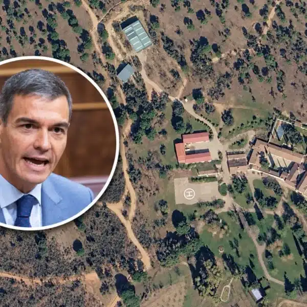 voluntarios-vivir-finca-caza-pedro-sanchez