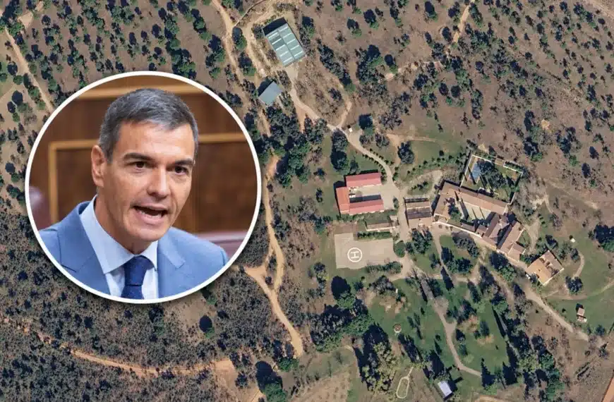 voluntarios-vivir-finca-caza-pedro-sanchez