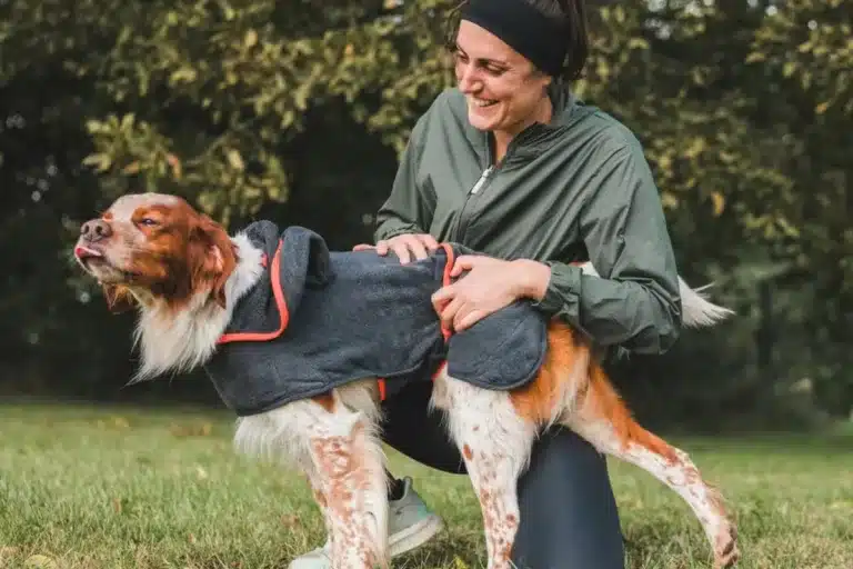 albornoz perros de caza