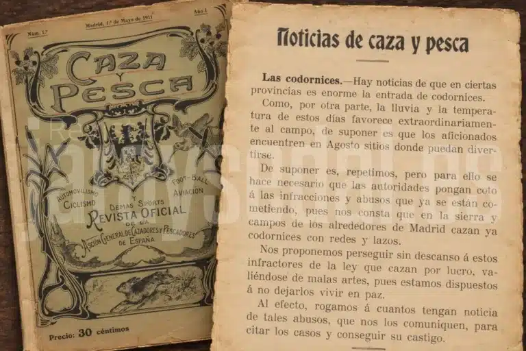 artículo cazadores defendían conservación de la codorniz 1911