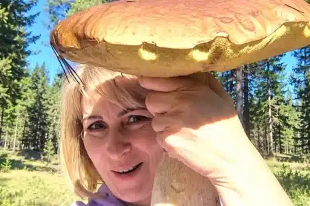 boletus gigantesco Burgos