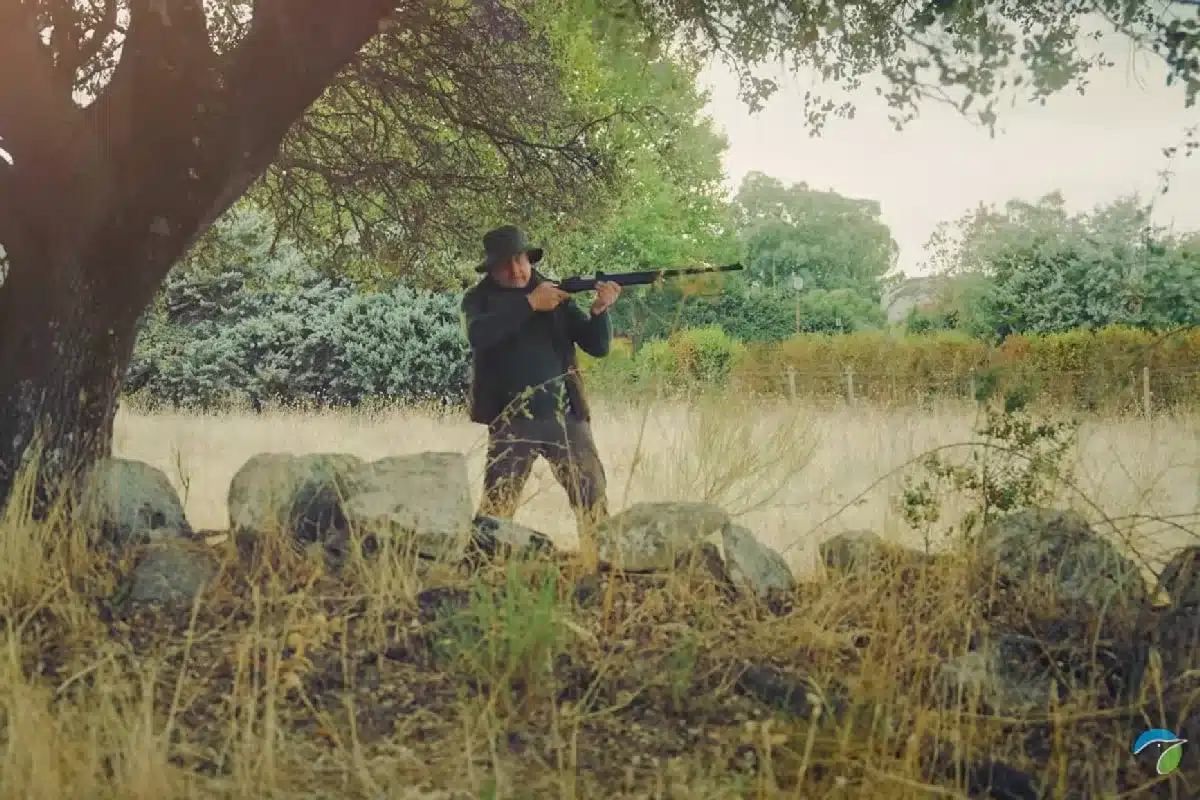 El último vídeo de SEO/BirdLife es un ataque contra los cazadores. 