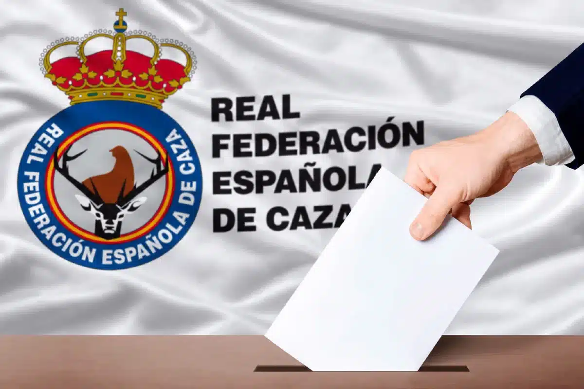 Logotipo de la RFEC tras una urna.
