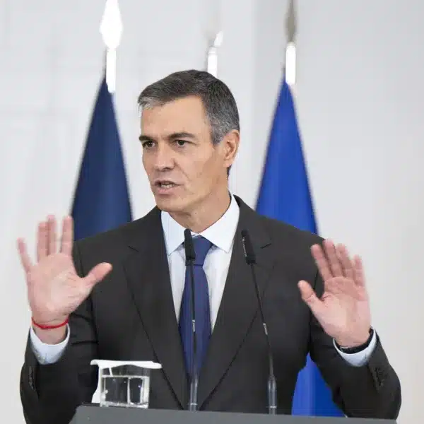 Pedro Sánchez subvenciones Ecologistas en Acción