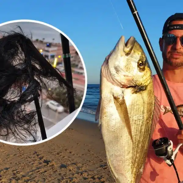 pescador rayo caña