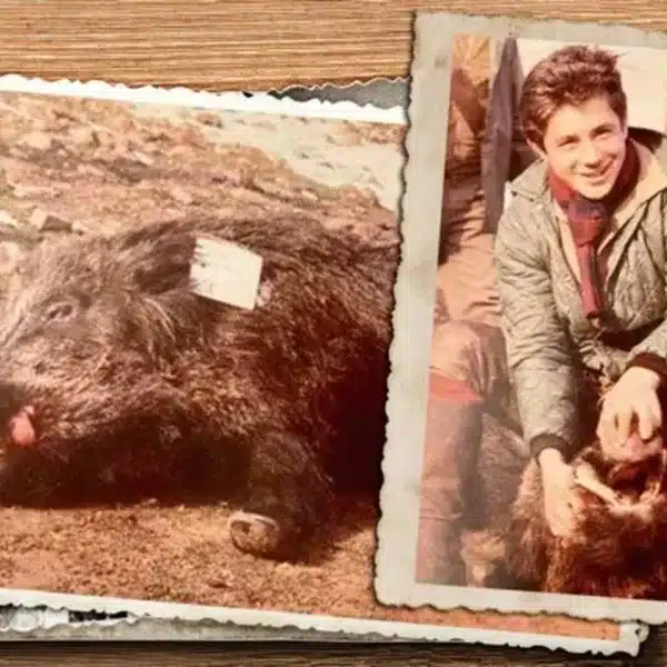 record-de-espana-de-jabali
