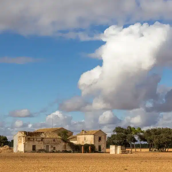 subasta finca rústica Ciudad Real