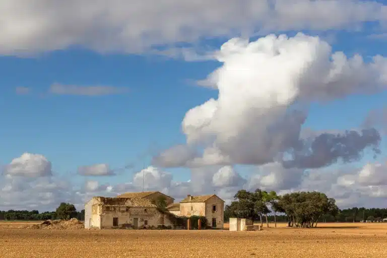 subasta finca rústica Ciudad Real