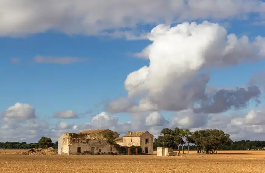 subasta finca rústica Ciudad Real