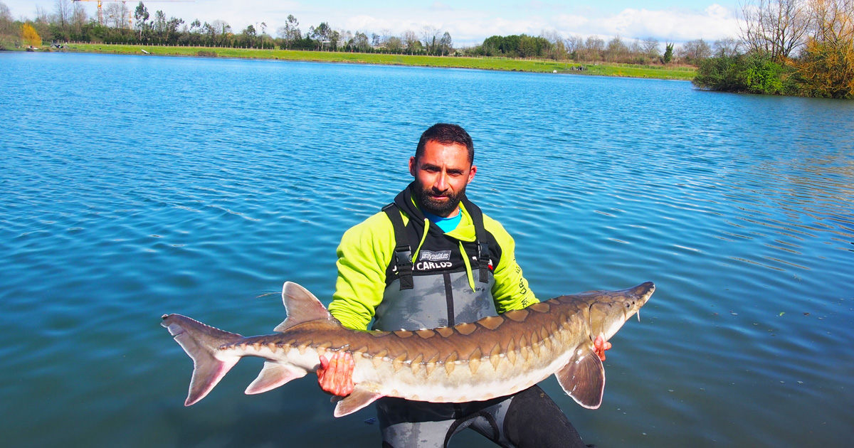 pesca SURFCASTING en ROQUETAS DE MAR, ÚLTIMA JORNADA DE PESCA, nos