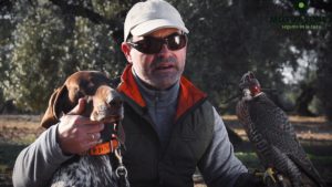 La verdad sobre los perros de caza, aquí podrás ver el documental completo