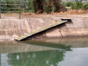 Cazadores colocan rampas en un canal para evitar que los animales mueran ahogados