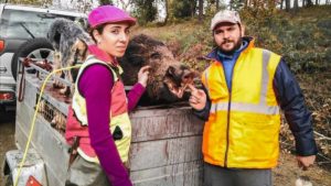 De animalista a mujer cazadora: así pasó de boicotear batidas a cazar jabalíes en Galicia