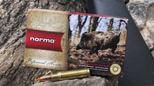 Balas de caza Norma Tip Strike: la mejorada evolución de un clásico