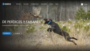 Sal de caza con Cazaflix: perdices y faisanes en Extremadura