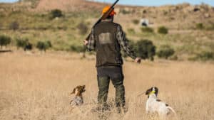 Los cazadores pueden moverse entre provincias en Andalucía desde este viernes