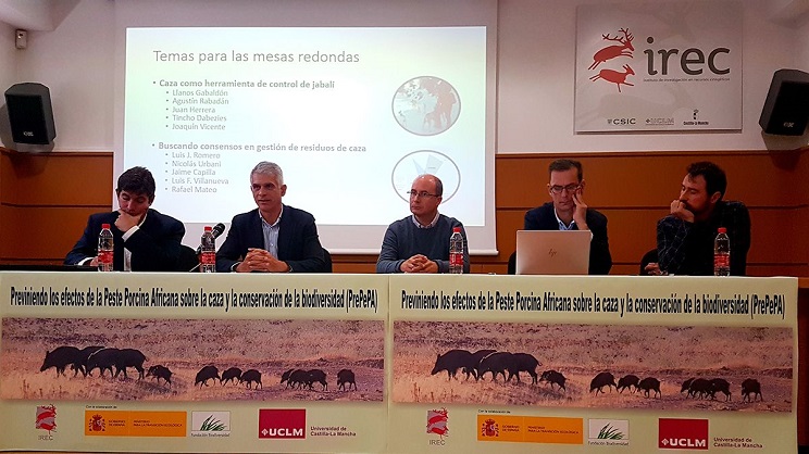 Científicos, cazadores, gestores y conservacionistas unen fuerzas para prevenir la peste porcina en España
