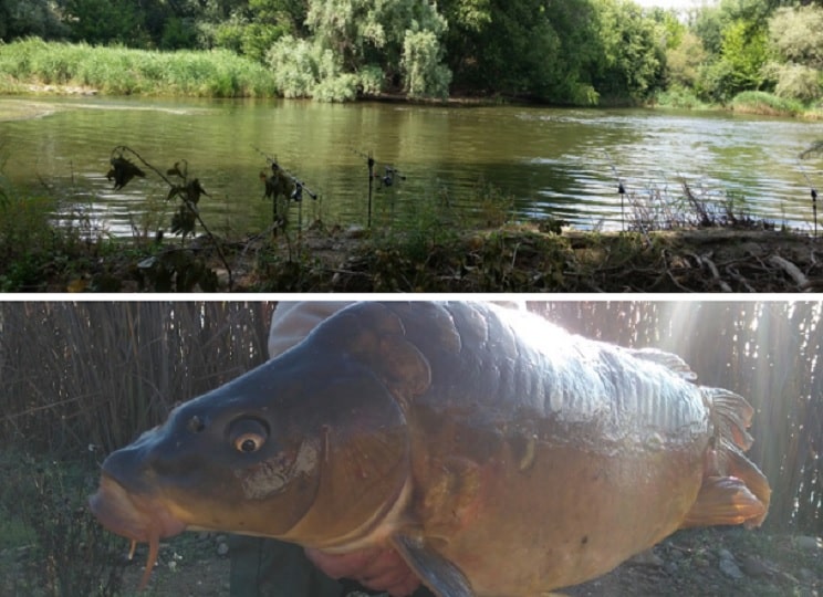 Donde Pescar :: Tips de Pesca de Orilla