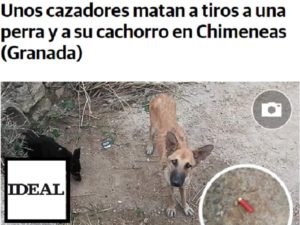 Ideal.es acusa a «unos cazadores» de matar a una  perra y su cachorro sin pruebas